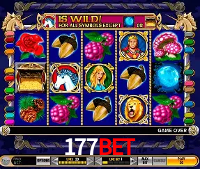 Descubra a Essência do 177Bet: Nossa História e Compromissos